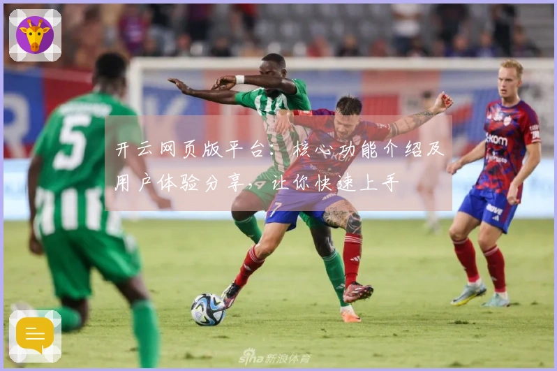 开云网页版平台：核心功能介绍及用户体验分享，让你快速上手