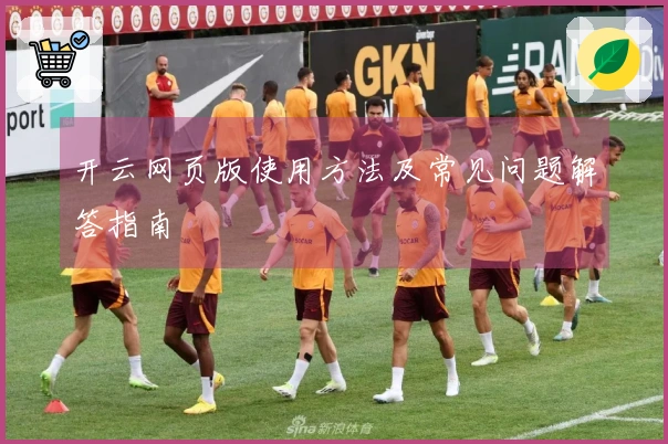 开云网页版使用方法及常见问题解答指南