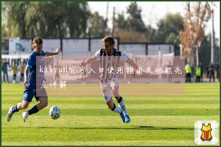 kaiyun官方入口使用指南及功能亮点详解